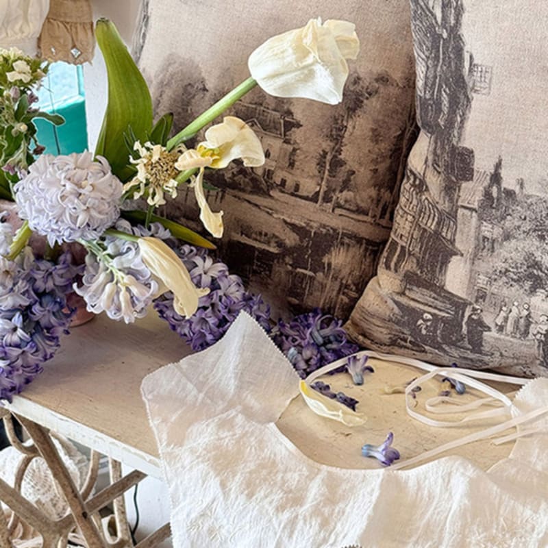 JAMMER Aile neck cape Elle neck cape Aile neck cape